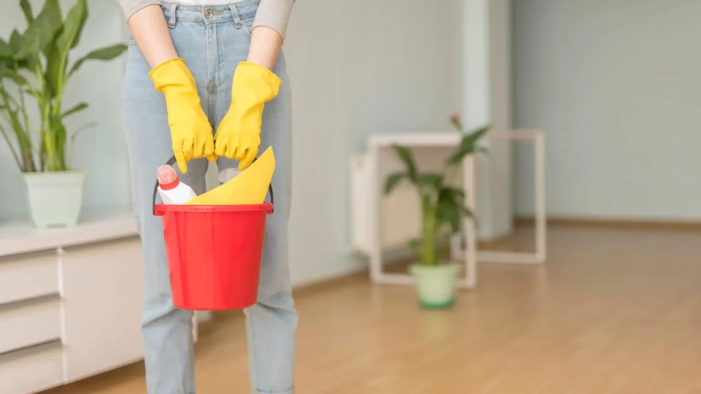 Best Cleaning Services in Vaughan
