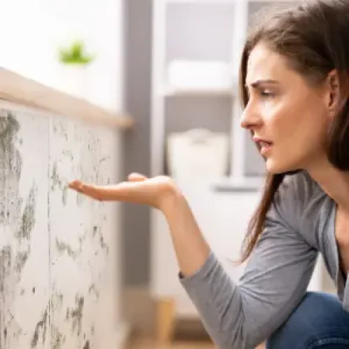 Best cleaning services in East York