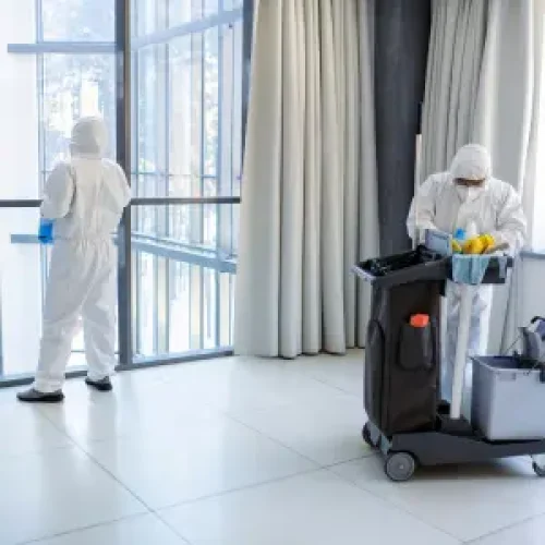 Best cleaning services in East York